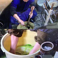 宇都宮割烹,宇都宮和食ディナー,宇都宮串揚げ,青奈オヤジのブログ,朝ドラさくらより引用,季節料理青奈,