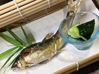 宇都宮和食ディナー,宇都宮鮎の塩焼き,宇都宮串揚げ,青奈オヤジのブログ,季節料理青奈,