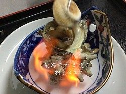 宇都宮和食,宇都宮和食ディナー,割烹,宇都宮串揚げ,栄螺の壺焼き,季節料理青奈,