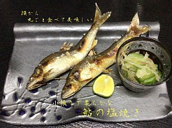 宇都宮和食,宇都宮和食ディナー,割烹,宇都宮串揚げ,鮎の塩焼き,季節料理青奈,