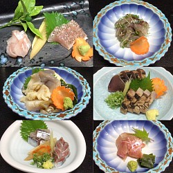 宇都宮割烹,宇都宮和食ディナー,宇都宮串揚げ,旬の刺身いろいろ,季節料理青奈,