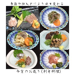 宇都宮割烹,宇都宮和食ディナー,宇都宮串揚げ,旬の刺身いろいろ,季節料理青奈,