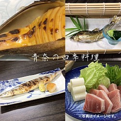 宇都宮割烹,宇都宮和食ディナー,宇都宮串揚げ,季節料理いろいろ,季節料理青奈,