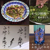 宇都宮串揚げ割烹,宇都宮和食ディナー,青奈オヤジのブログ,初鰹,わらび,小鮎の串揚げ,季節料理青奈,