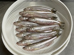 宇都宮串揚げ割烹,宇都宮和食ディナー,青奈新着,本ししゃも,季節料理青奈,